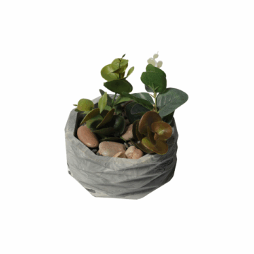 Ripple Pot