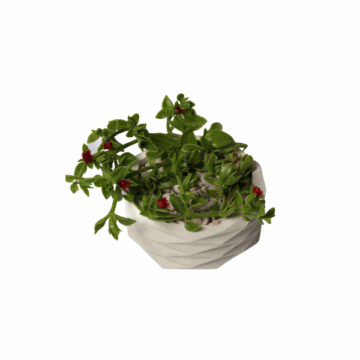 Ripple Pot - Image 2